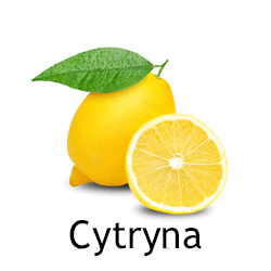 Cytryna soki na zimę z wyciskarki